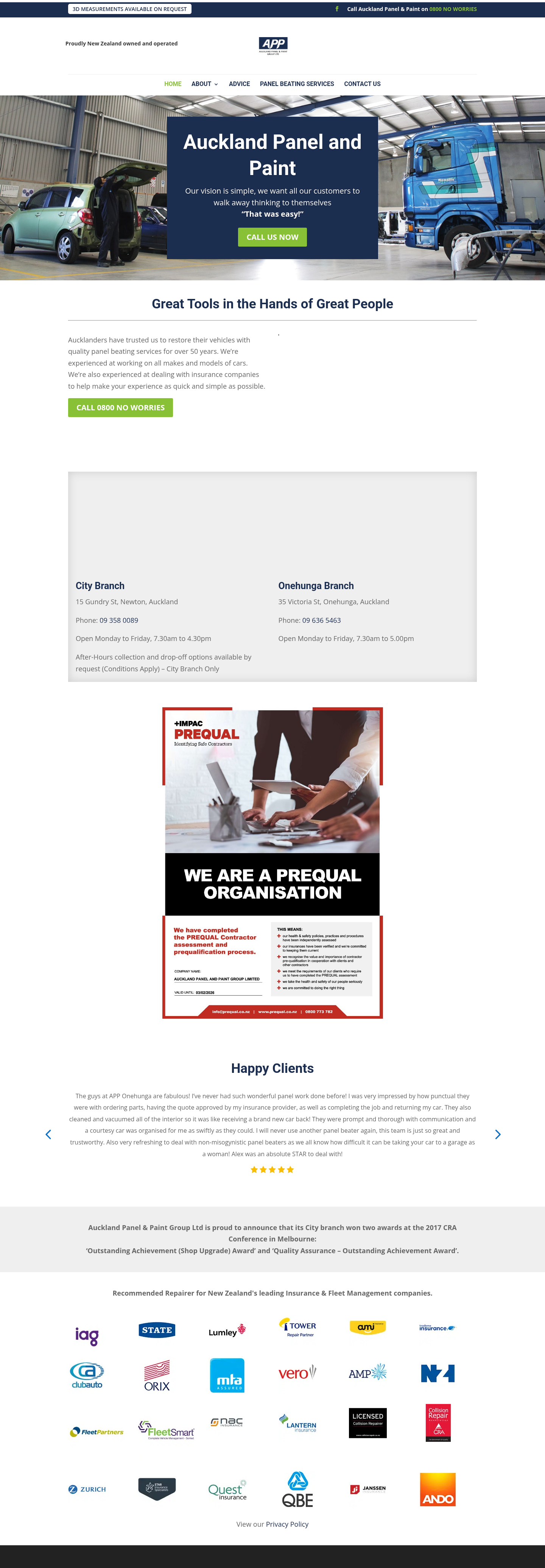 Original site — aucklandpanel.co.nz