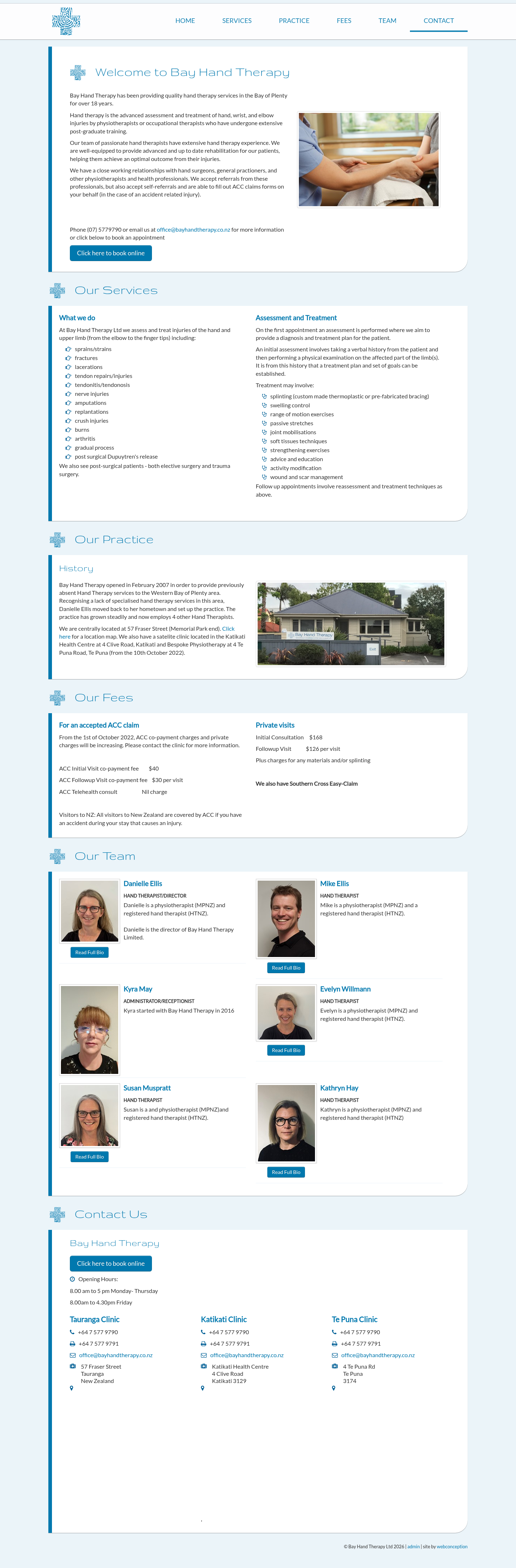 Original site — bayhandtherapy.co.nz